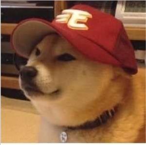 Meet your Posher, Moshe